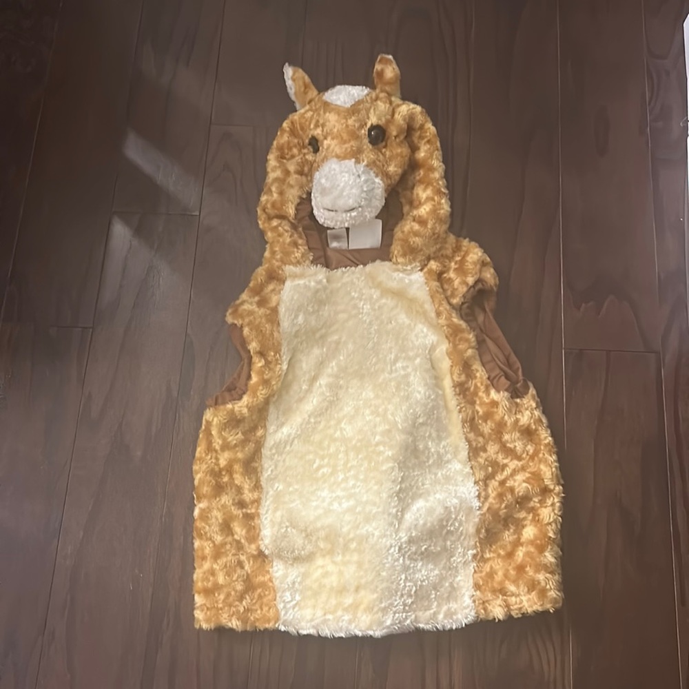 Kids giraffe costume